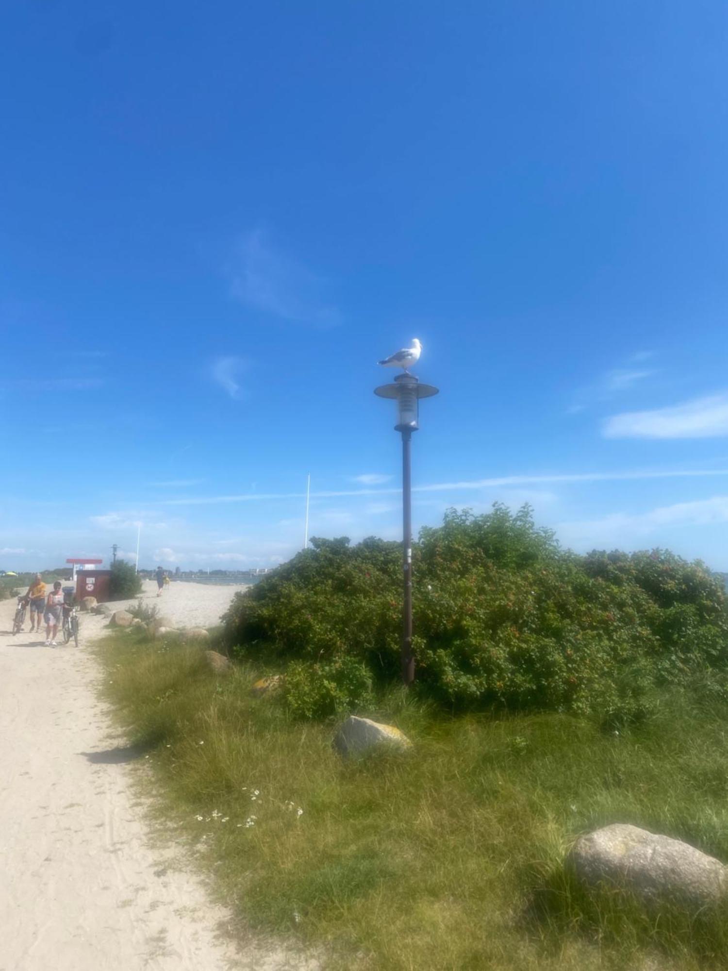 Wohnwagen Auf Dem Wulfenerhals Ca 150M Bis Zum Meer Fehmarn Exterior photo